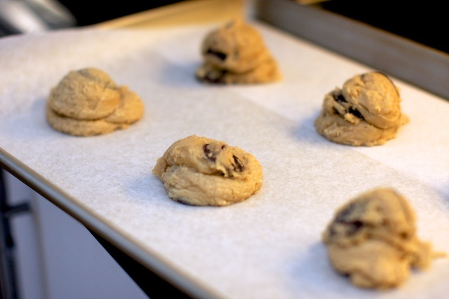 chocolate chip cookie 1